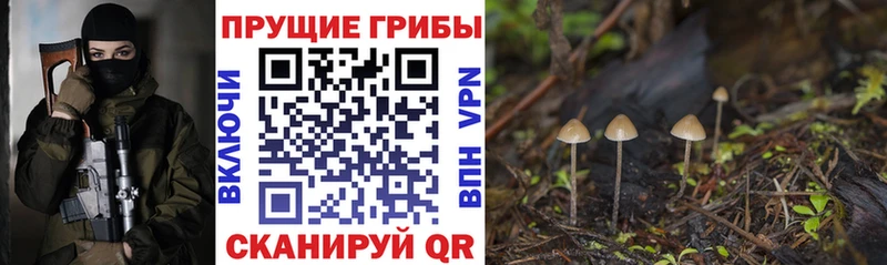 Галлюциногенные грибы ЛСД  Новый Оскол 