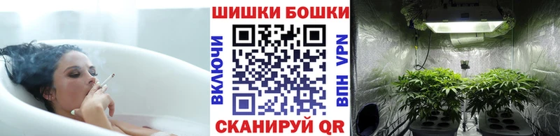 Конопля планчик  Новый Оскол 